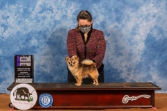 17-Sat-WDMaj-Judge-Wanda-Spediacci-PANCHO 17-Sat-WDMaj-Judge-Wanda-Spediacci-PANCHO