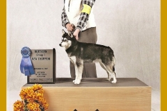 Aspyn-RBIS111107 Aspyn-RBIS111107