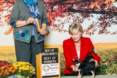 Chika-copy Chika-copy