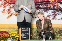 Juan-Carlos Juan-Carlos