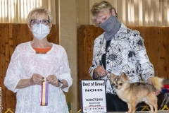 Pancho-Breed-Win-Hangtown-KC Pancho-Breed-Win-Hangtown-KC