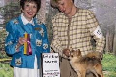 Pancho-Breed-win-53121 Pancho-Breed-win-53121