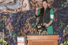 2024-02-17-SAT-SUN-MAID_lchi-w-no-j