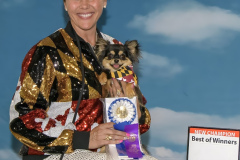 Maryland-New-Champion