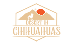 Desert Hi Chihuahuas